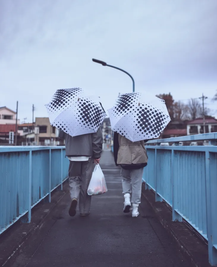 A pair of umbrellas on a rainy day